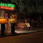 Отель Okaliptus
