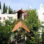 Okaliptus
