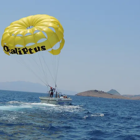 Okaliptus Отель