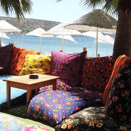 Okaliptus Hotell Bitez