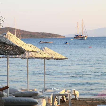 Hotel Okaliptus