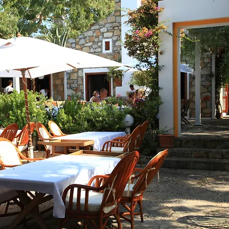 Hotell Okaliptus Bitez