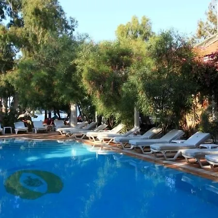 Okaliptus Hotell 4*