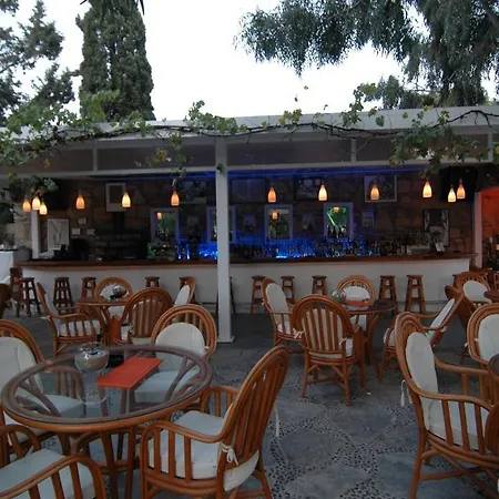 Okaliptus Hotell Bitez