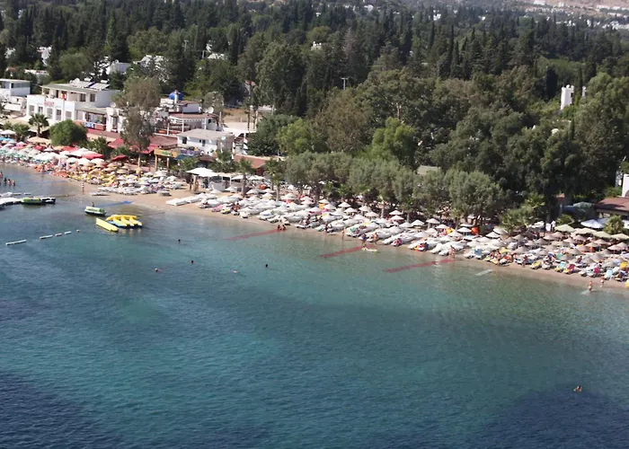 Hotel Okaliptus