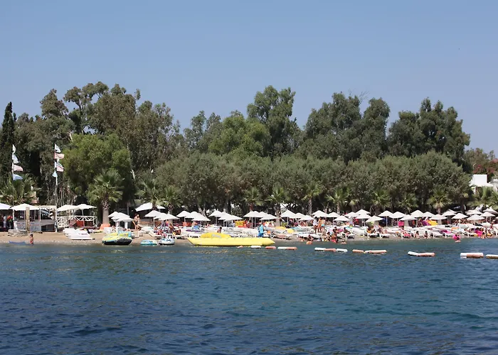 Hotel Okaliptus 4*