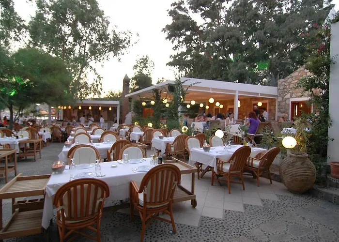 Hotel Okaliptus