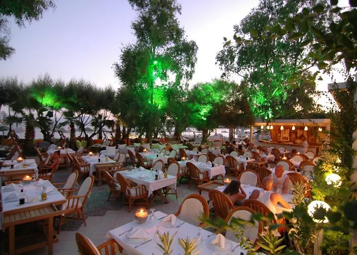 Hotel Okaliptus 4*
