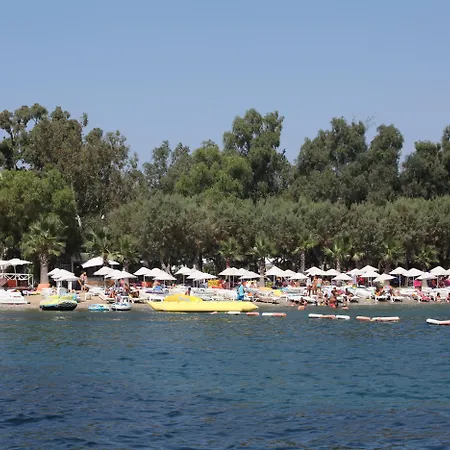 فندق أوكاليبتوس 4*
