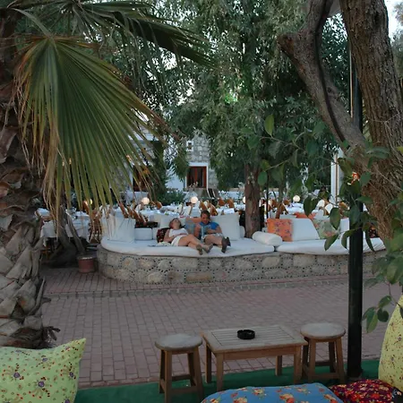 فندق أوكاليبتوس 4*