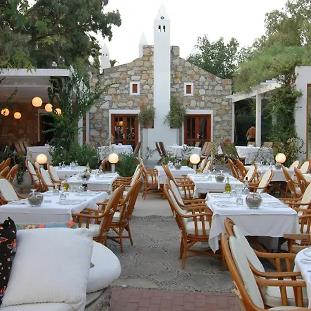 Hotel Okaliptus 4*