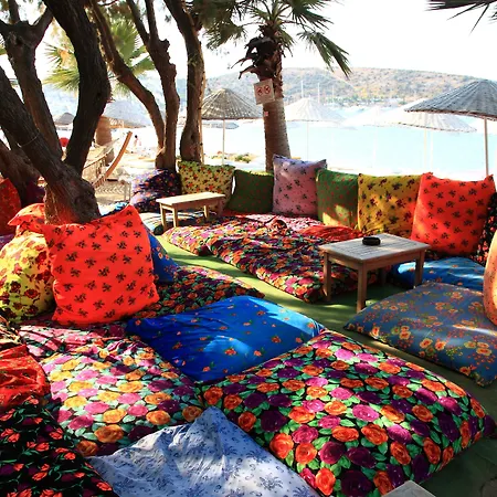 Okaliptus 4* ביטז