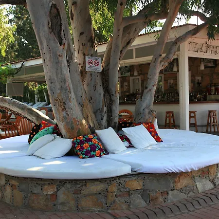 Okaliptus 4* ביטז