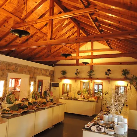 Okaliptus מלון ביטז