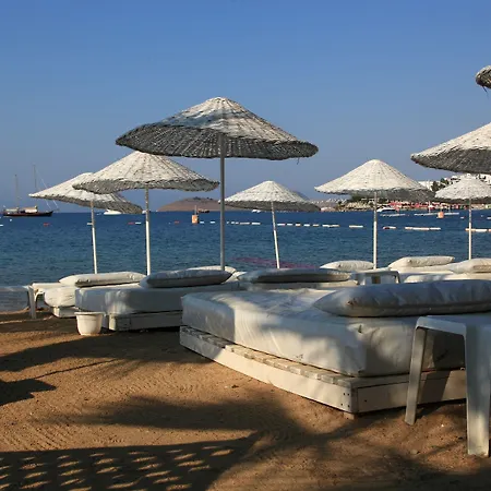 Hotel Okaliptus 4*
