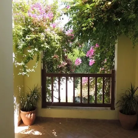 Okaliptus 4* ביטז