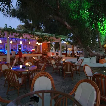 Okaliptus Hotel 4*