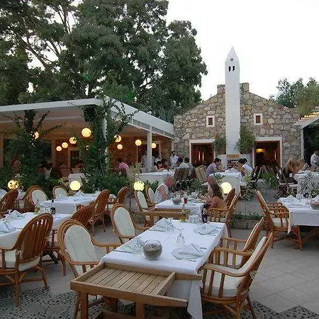 Hotel Okaliptus