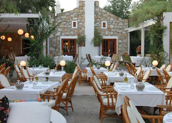 Hotel Okaliptus 4*