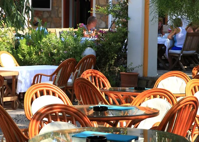 Hotel Okaliptus 4*