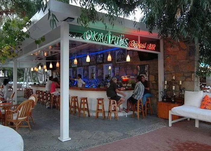 Okaliptus Hotel 4*